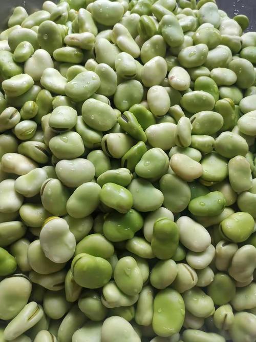 四季豆香，营养宝库